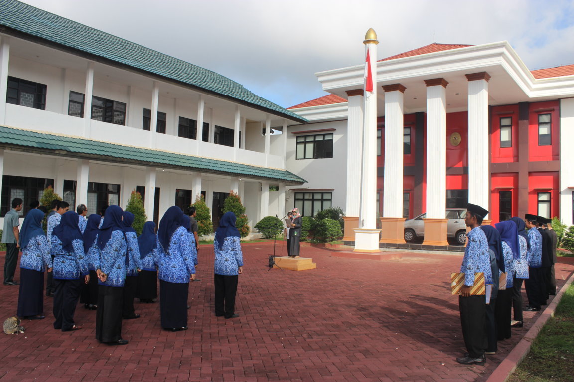 IMG_1162 (FILEminimizer).JPG